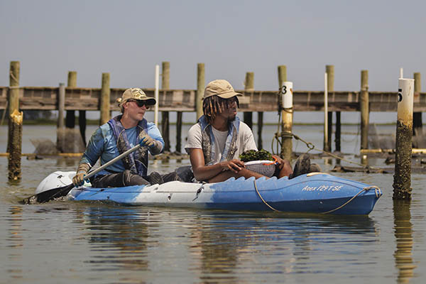 Graduate Fellow Julia Grenn